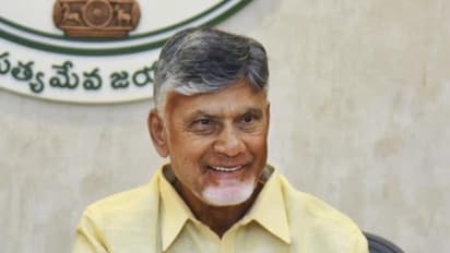 Chandrababu Naidu nep row
