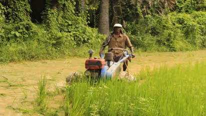 Farmers plowing fields