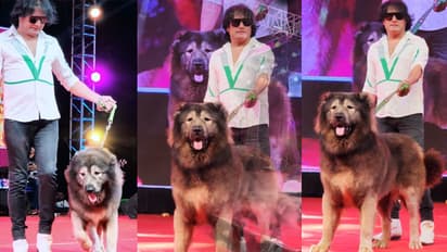 World most expensive dog