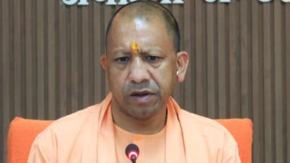 UP-became-the-first-state-to-adopt-agrivoltaics-project-Government-of-India-gave-approval