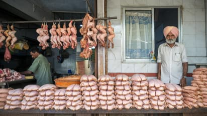 varanasi navratri meat ban nagar nigam fir on violation nonveg sale restricted