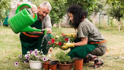 Shade solutions for sensitive plants