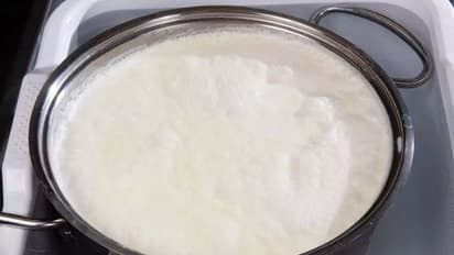 how to prevent milk from curdling in summer