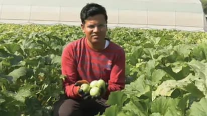 success story of farmer Shyam Sundar doing organic farming
