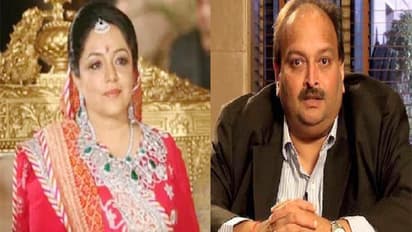 Mehul Choksi wife