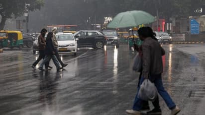 mp monsoon forecast 2025 heavy rainfall 