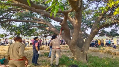 Bodies of missing brothers found hanging from a tree in Satna