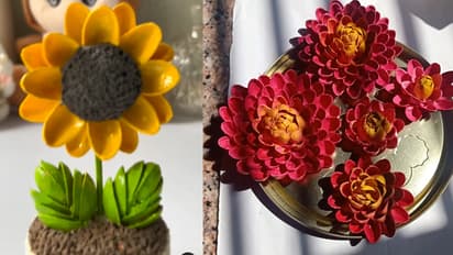 Pista-shell-home-decor-ideas