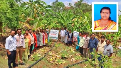 vikas saptah krishi vikas divas gujarat dang natural farming