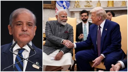 Trump/Modi/Shehbaz