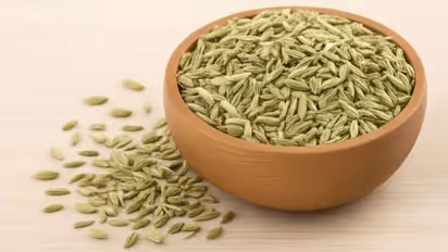 fennel seeds