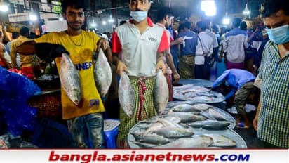 Image of ilish Hilsa fish food