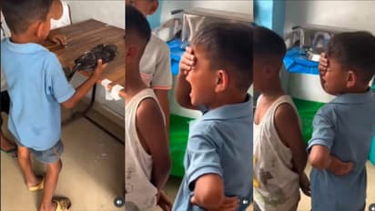 Compassion Animal Love Heartwarming Video