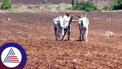 Agriculture Farmer 08