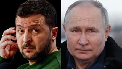Zelenskyy, Putin
