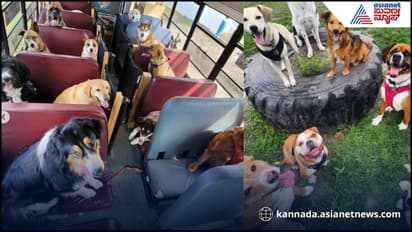 Canada Pet Dog School