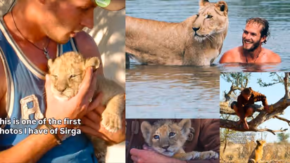 liones sirga shares its hunt with her care taker