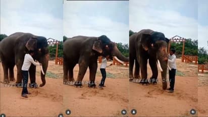 Elephant Abhimanyu and his Mahout reunion