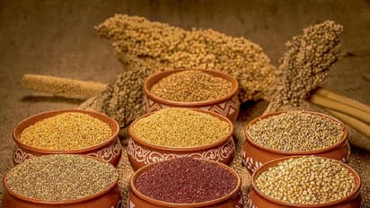 International Millet Fair