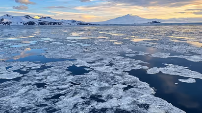 antarctic sea ice decline