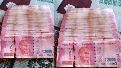 Rs 2 Lakh in Old Rs 2,000 Notes Found