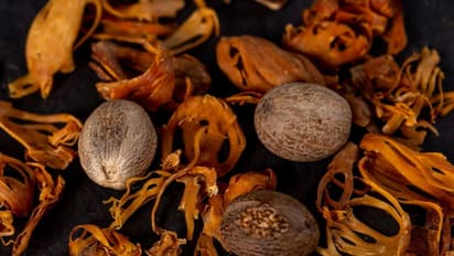 nutmeg