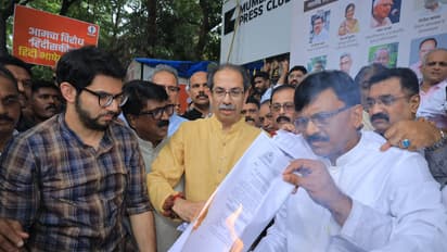 Holi of Hindi GR by Shiv Sena Thackeray group