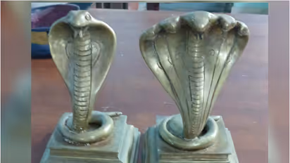 Naga idol 
