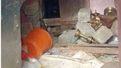 Bear attacks Ayyappa temple