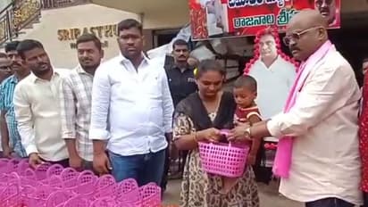 tomatoes distribution