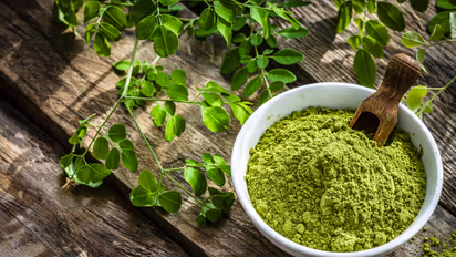Moringa Leaves Benefits