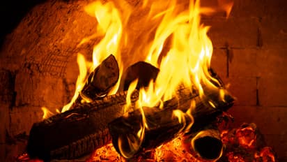 Firewood burns in traditional oven