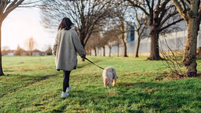 Viral Neck Hanging Trend In China Sparks Fear As Experts Warn Of Serious Risks