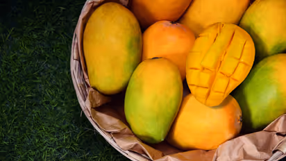 Mango