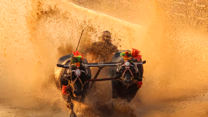 Kambala event in Karnataka