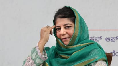 mehbooba mufti on assembly election