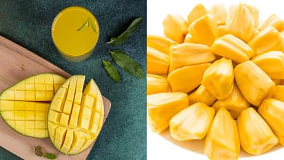 can-diabetic-patients-eat-Jackfruit-and-mango