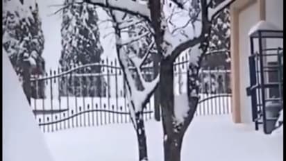 California snow storm