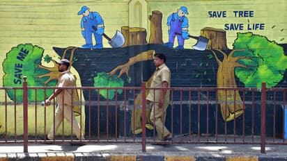 World Environment Day