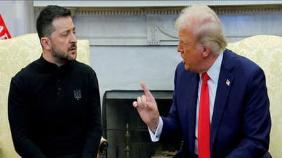US President Donald Trump meets Ukrainian President Volodymyr Zelenskyy at the White House in Washington DC (File Image/Reuters)