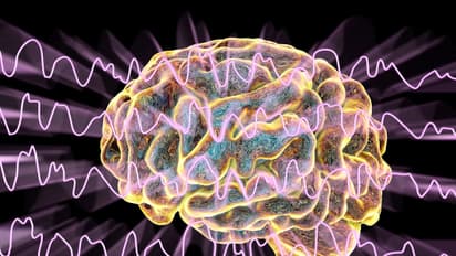 Brain and brain waves during sleep