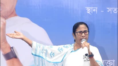 mamata
