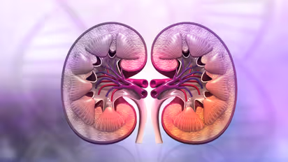 Kidney Health