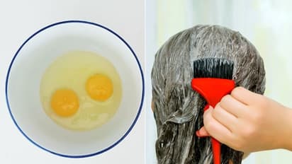 egg hair