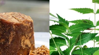 neem leaves and jaggery