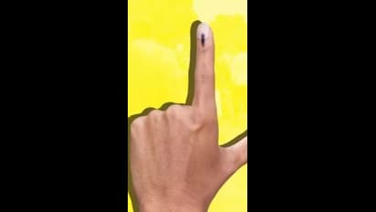 lok sabha chunav 2024 women voters