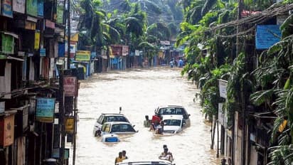 picture of the Tamil Nadu Chief Ministers face resembling the face of the natural disaster has gone viral on social media bsm