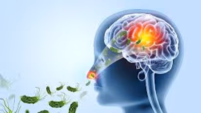 Amoebic Meningoencephalitis 