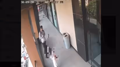 Caught On Camera: 20-Year-Old Man Harasses Woman At Mall, CCTV Video Goes Viral (WATCH)