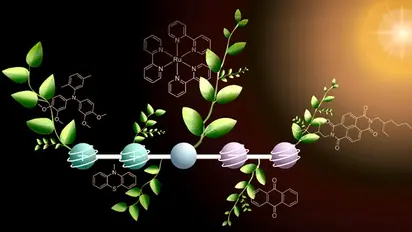 Scientists Find 'Plant-Inspired Molecule' To Turn Sunlight Into Fuel